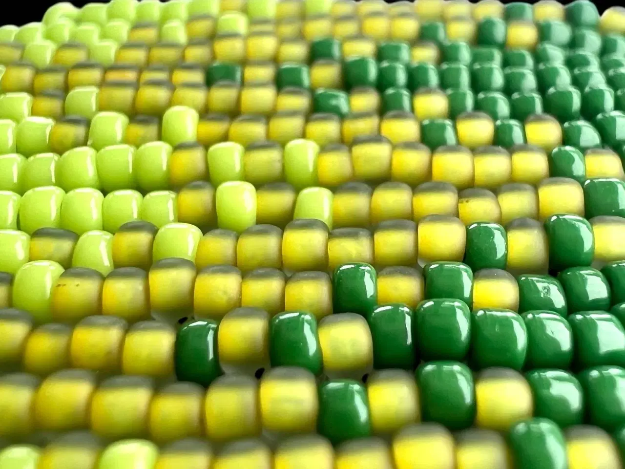 Billede 3 - Grønlandske perle øreringe