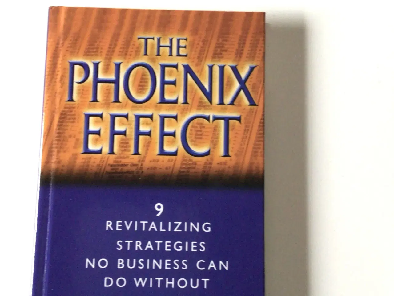 Billede 1 - The Phoenix Effect
