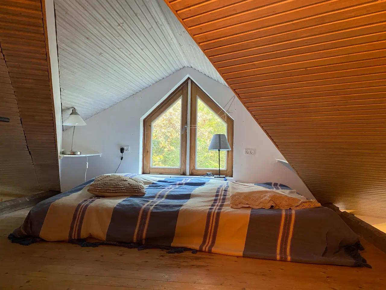 Billede 3 - Kolonihave i Enghaven havekoloni, Odense, sælges