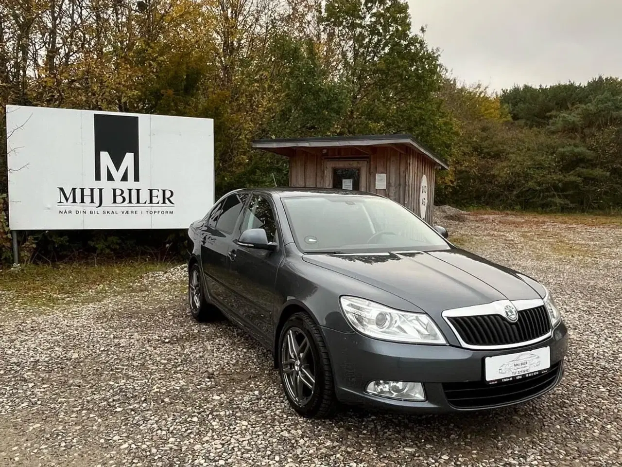 Billede 1 - Skoda Octavia 1,6 TDi 105 GreenLine