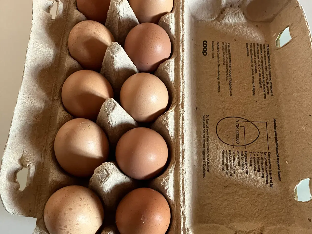 Billede 3 - Bielefelder høns