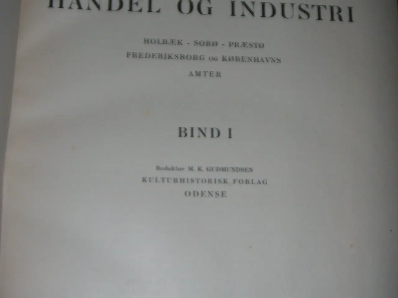 Billede 3 - Dansk handel og industri