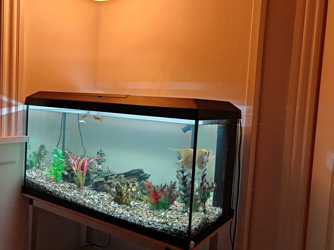 Billede 5 - Komplet 110 liter akvarium