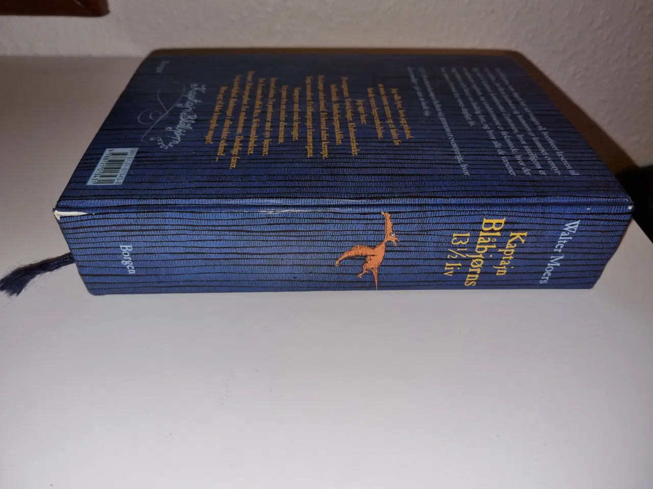 Billede 6 - Walter Moers - Kaptajn Blåbjørns 13 1/2 liv