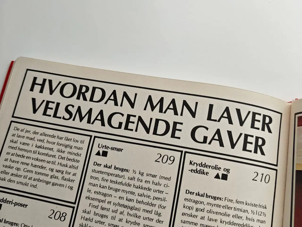 Billede 4 - Bogen:"Hvad skal jeg lave?" Ideer til leg med børn