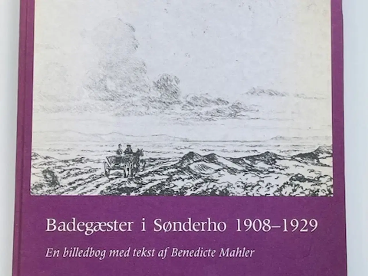 Billede 1 - Badegæster i Sønderho 1908-1929