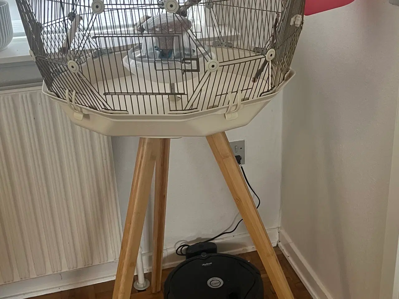 Billede 2 - Stort Geo fuglebur