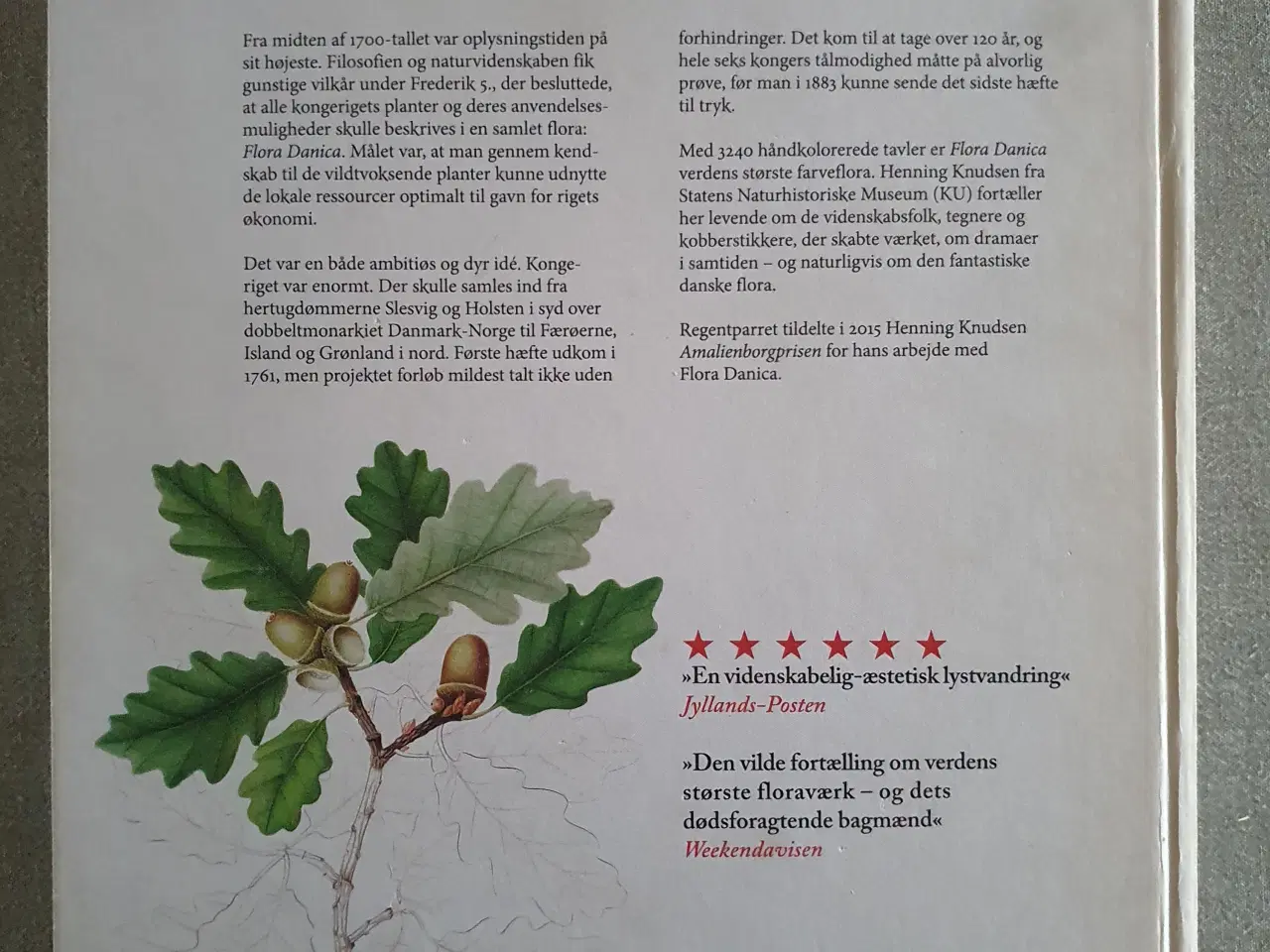Billede 2 - Flora Danica. Botanik