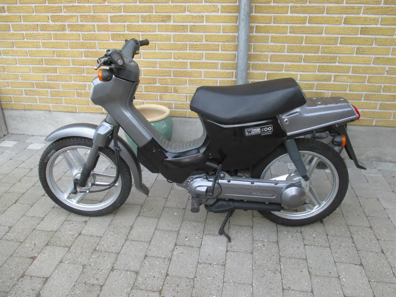 Billede 1 - Honda Wallaro