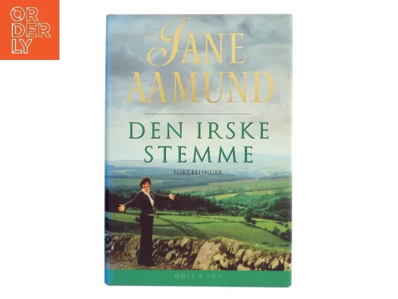 Billede 1 - Den irske stemme : fortællinger af Jane Aamund (Bog)