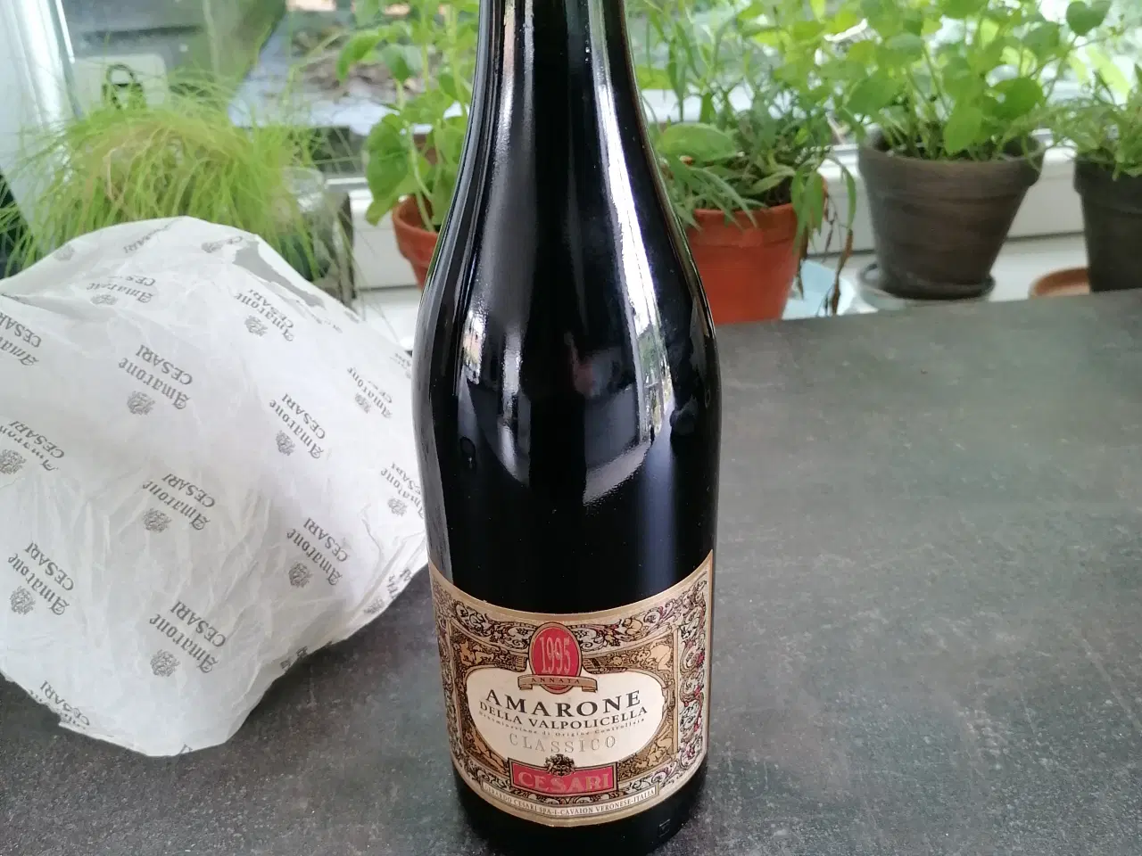 Billede 2 - Amarone Della Valpolicella classico 1995