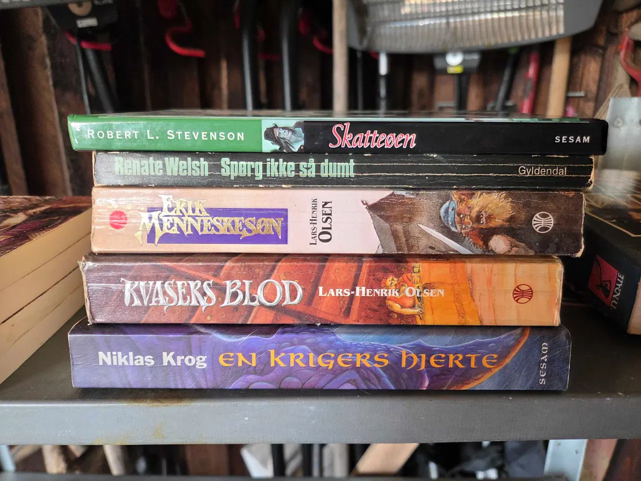 Billede 1 - Ungdomsbøger