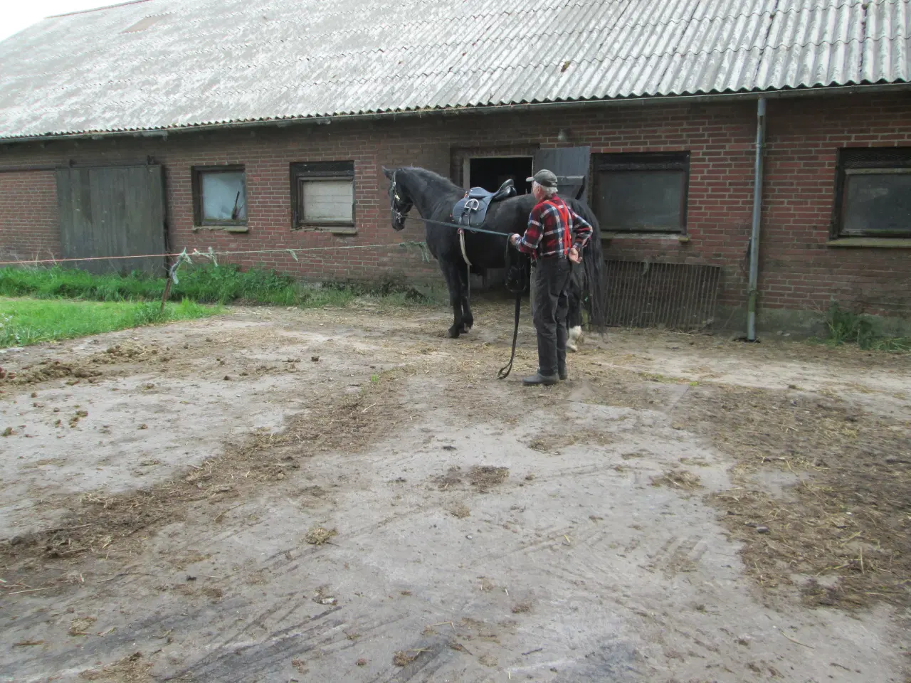 Billede 4 - hoppe