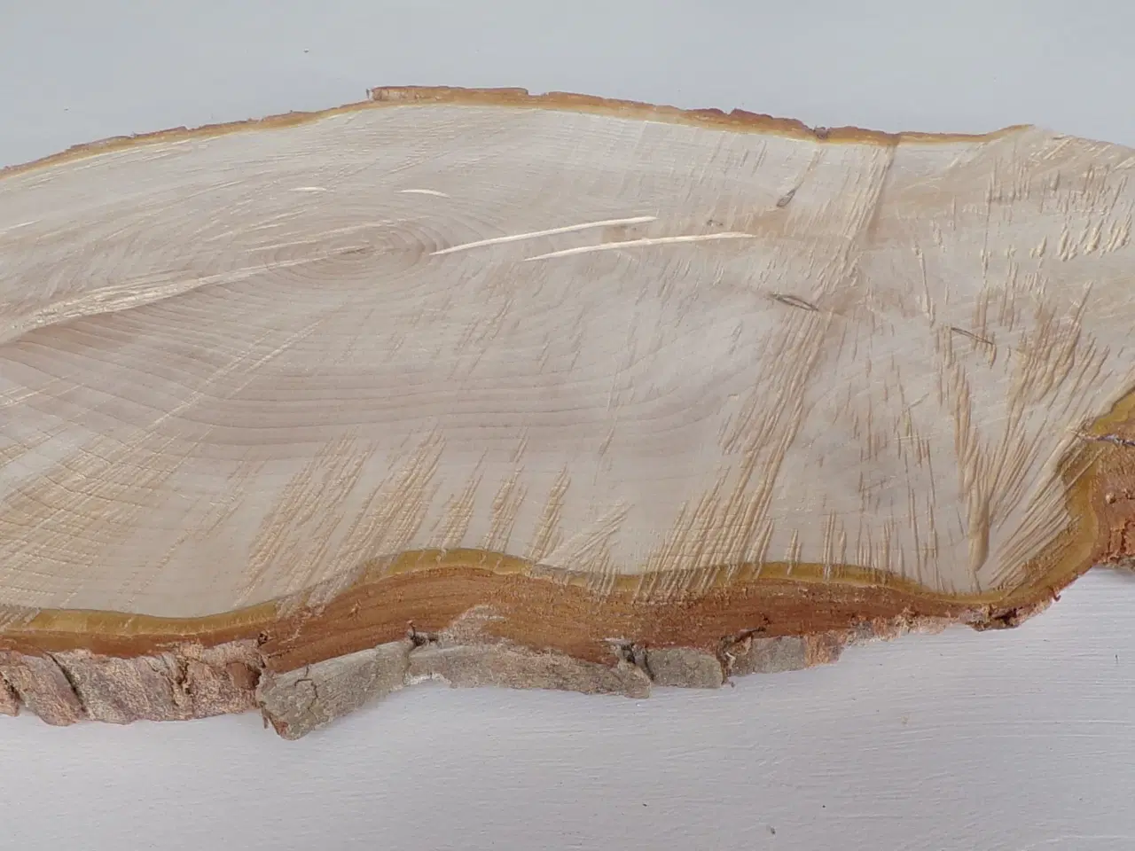 Billede 4 - NY Thuja Træskive med bark 44 cm lang