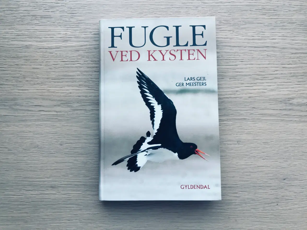 Billede 1 - FUGLE ved kysten  - Gyldendal