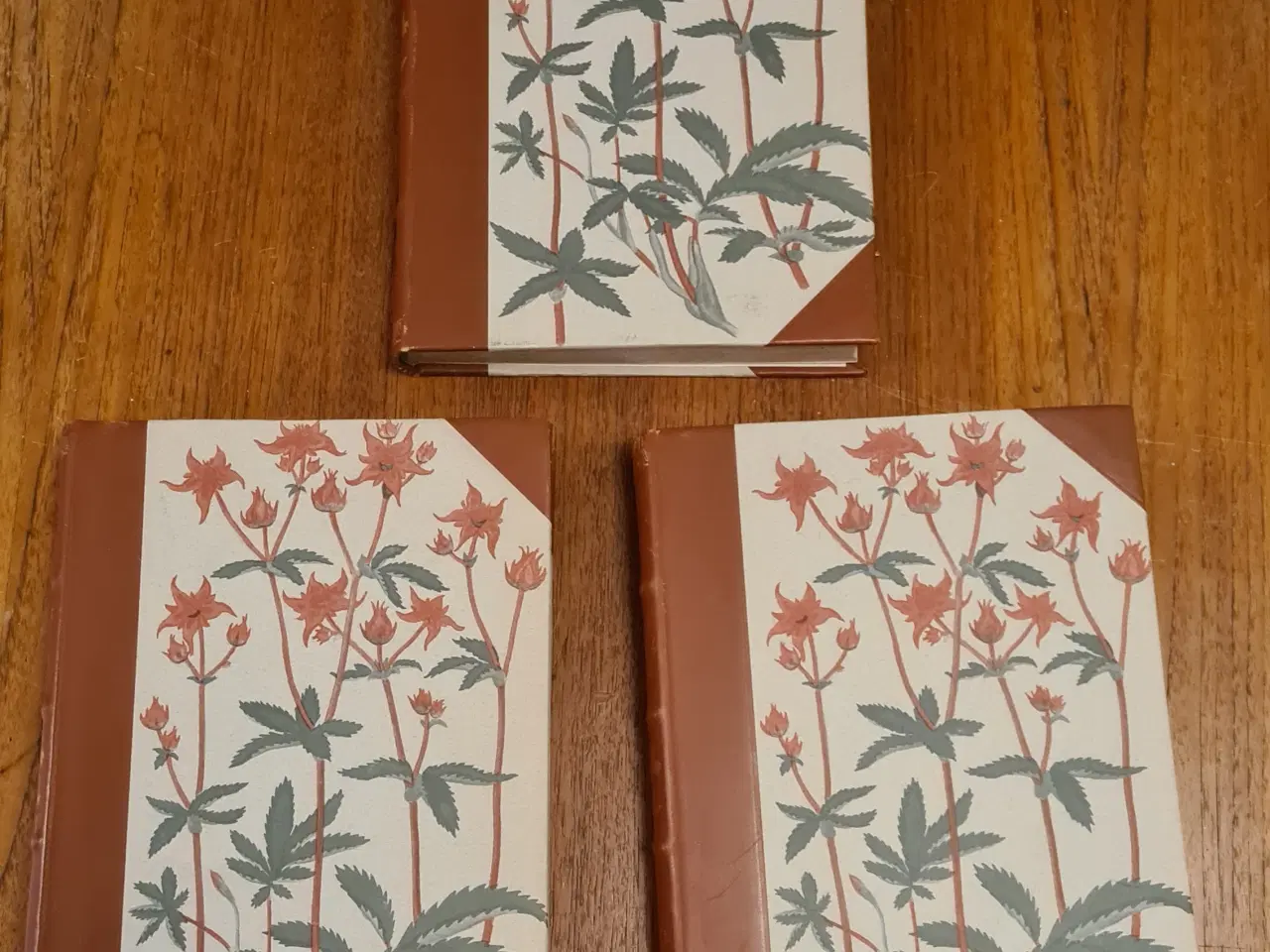 Billede 2 - Danmarks Vilde Planter