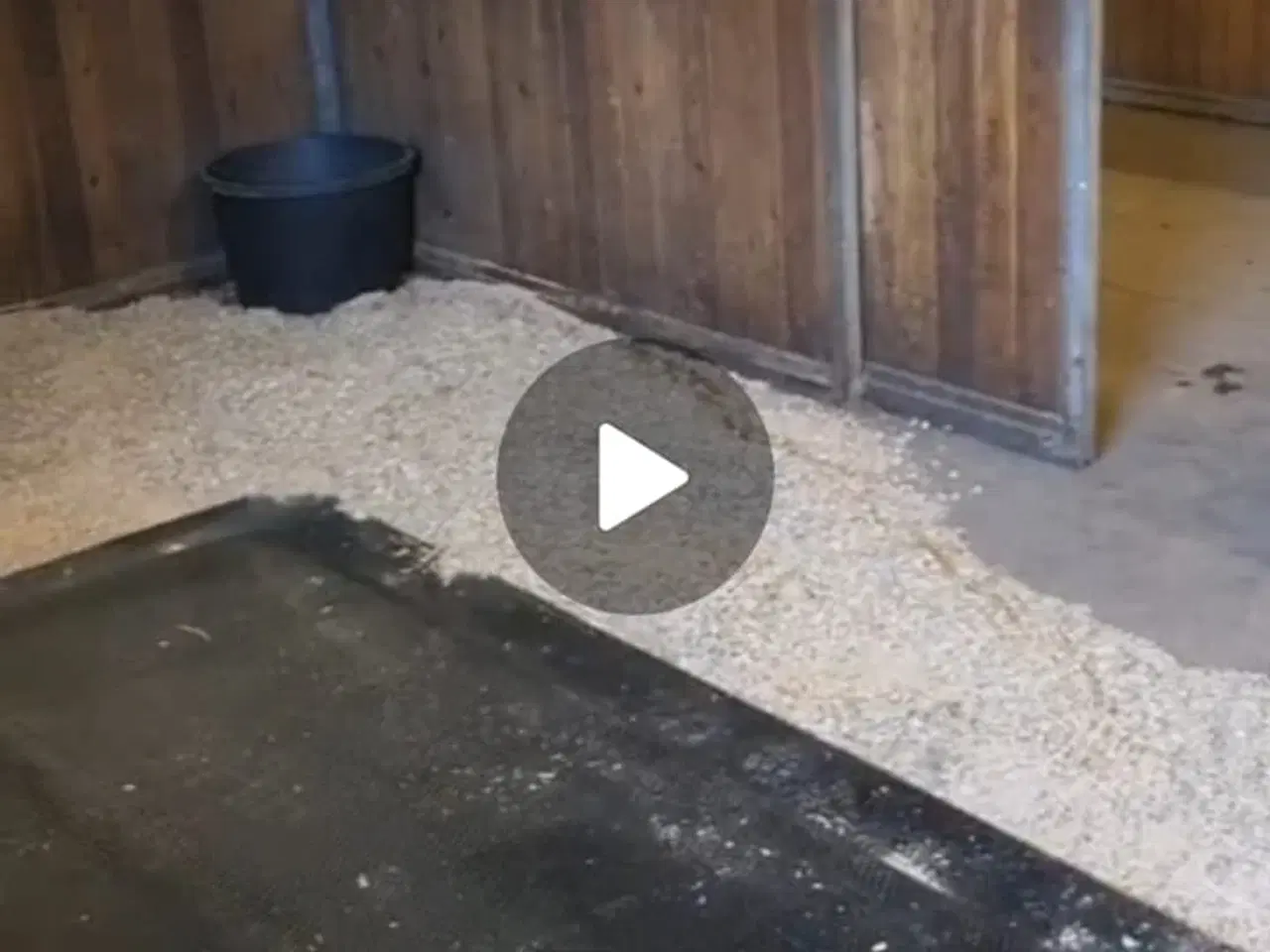 Billede 1 - Sælger HIT hesteseng Comfort 2.0