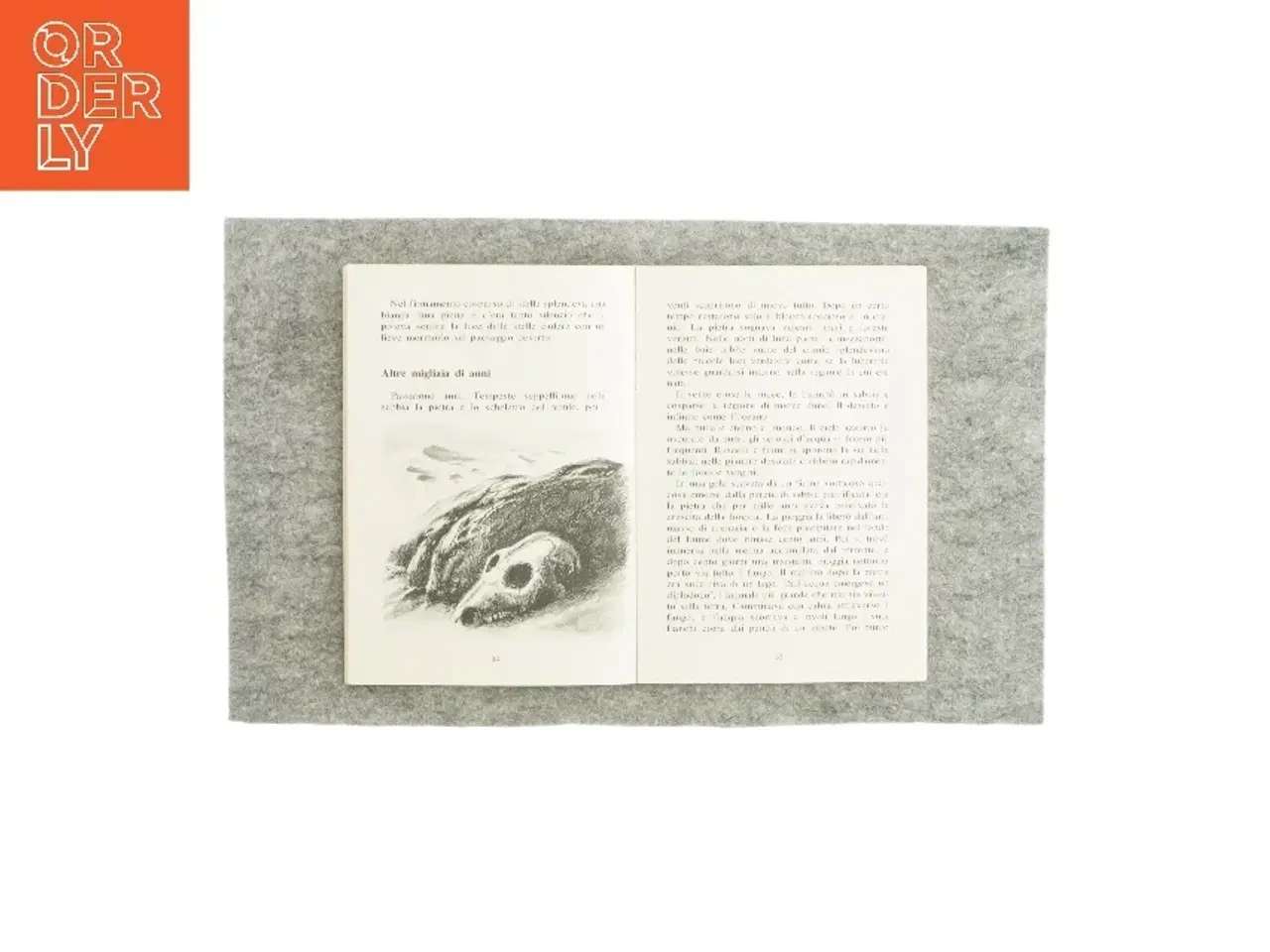 Billede 3 - Viaggio di una pietra dalla preistoria a oggi af Ludek Pesek (bog)