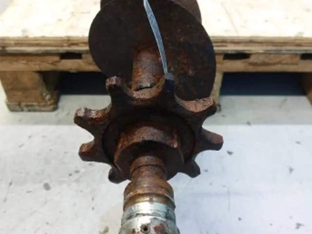 Billede 4 - Massey Ferguson 31 Fyldesnegl 28550083