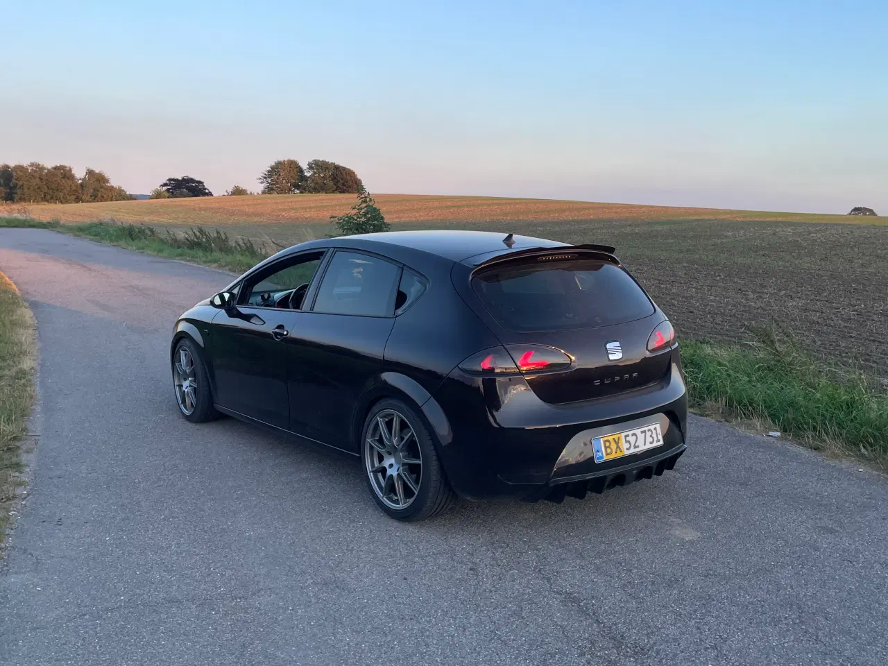 Billede 4 - Seat Leon Cupra 1P