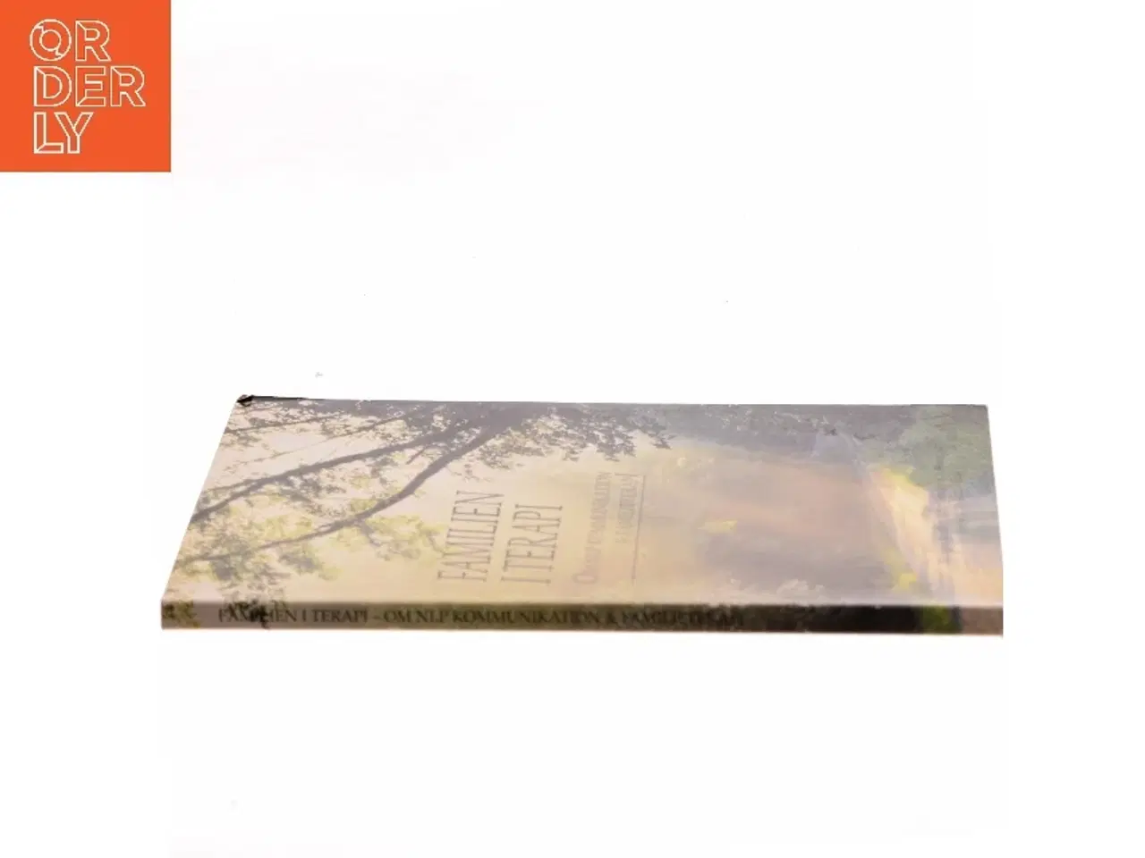 Billede 2 - Familien i terapi af Richard Bandler (Bog)