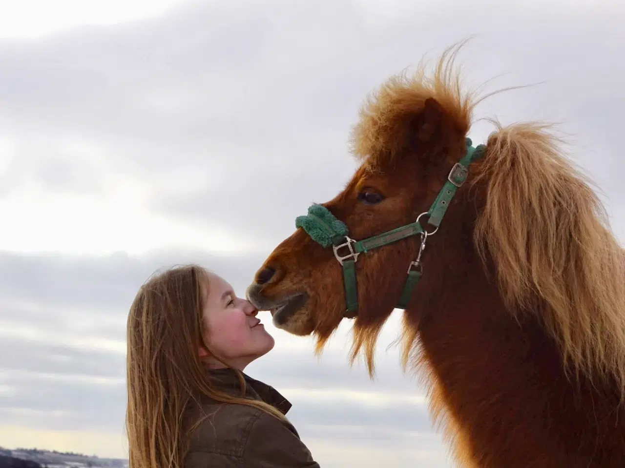 Billede 1 - Shetlænderen Betterøv