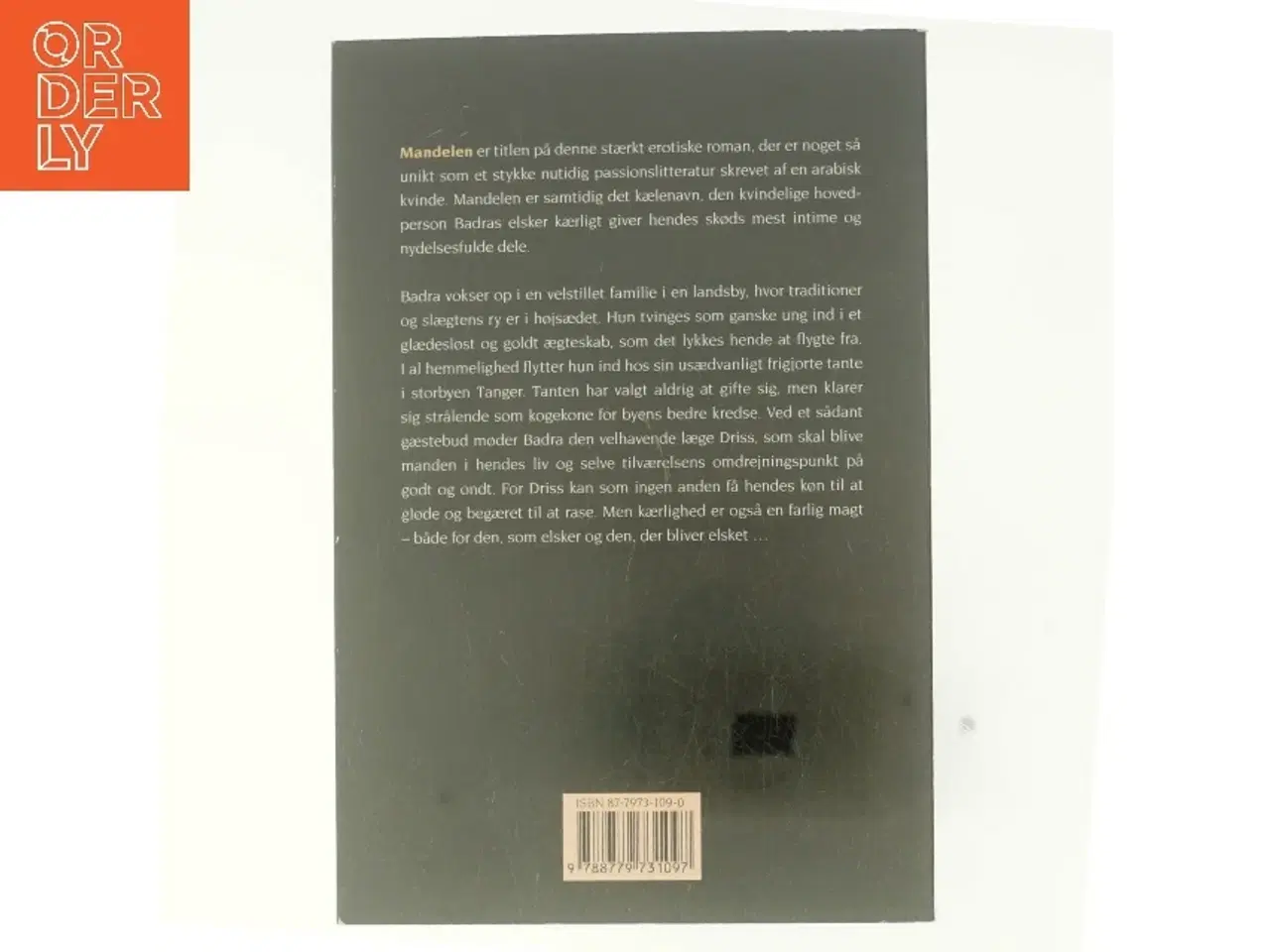 Billede 3 - Mandelen af Nedjma (Bog)