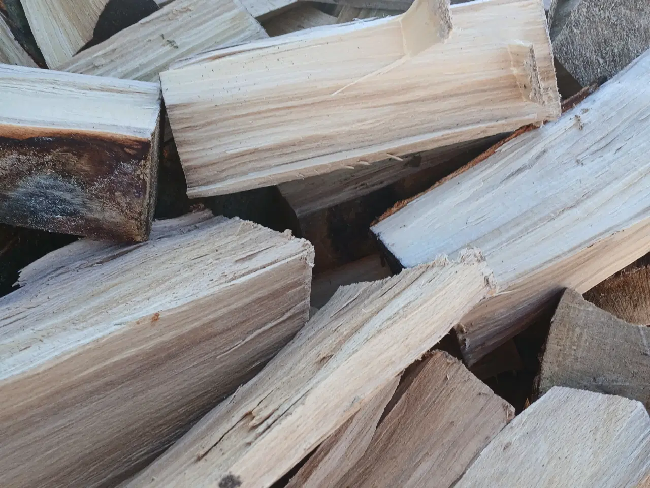 Billede 2 - Bøgetræ sælges 