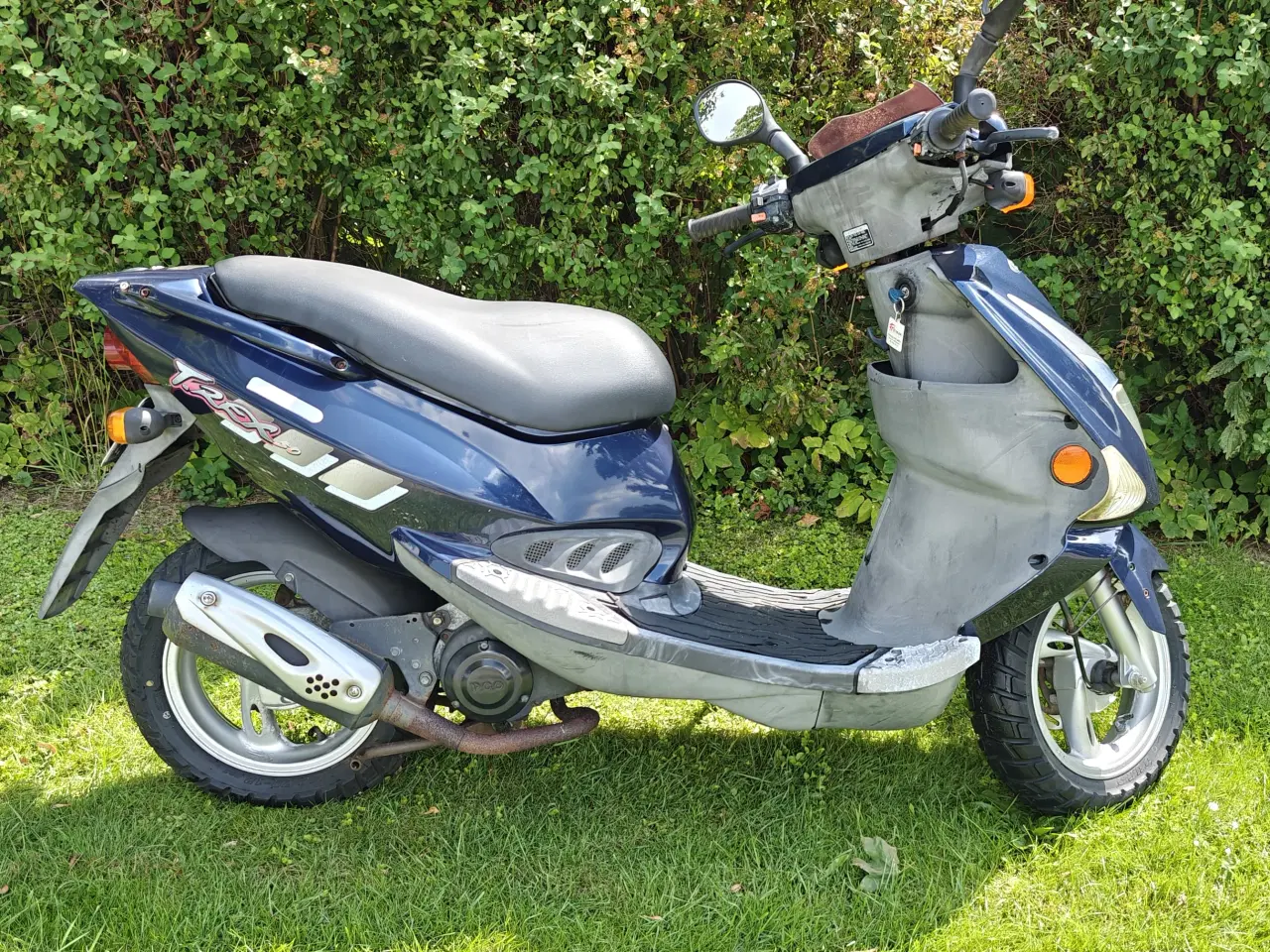 Billede 3 - PGO T-Rex 50 - Blå