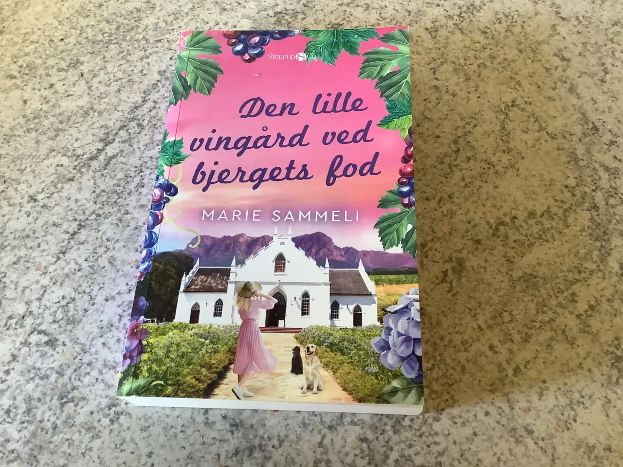Billede 1 - Den lille vingård ved bjergets fod Marie Sammeli