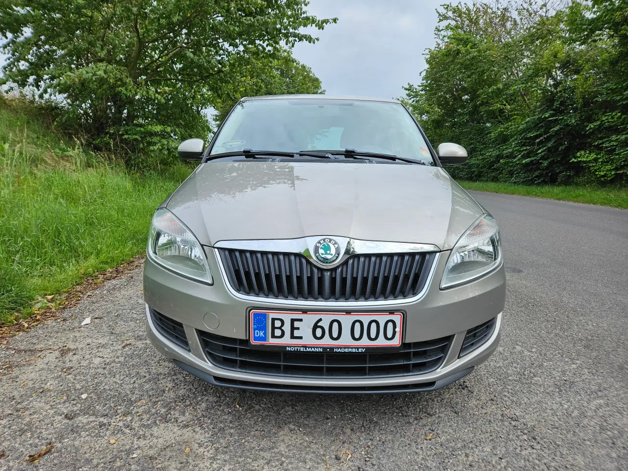 Billede 3 - Skoda Fabia 1,2 TSi 86 Family