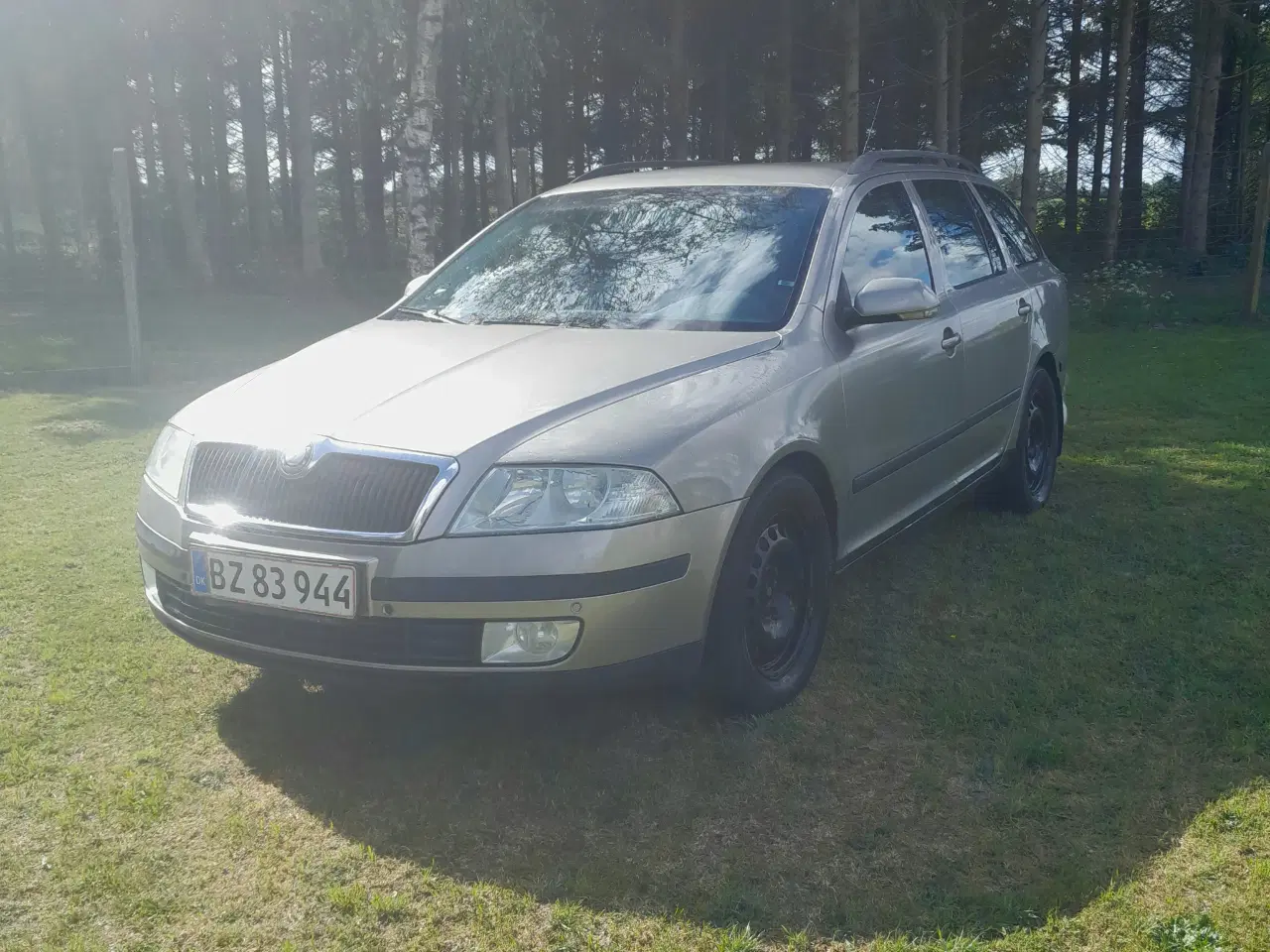 Billede 1 - Skoda Octavia 2.0tdi
