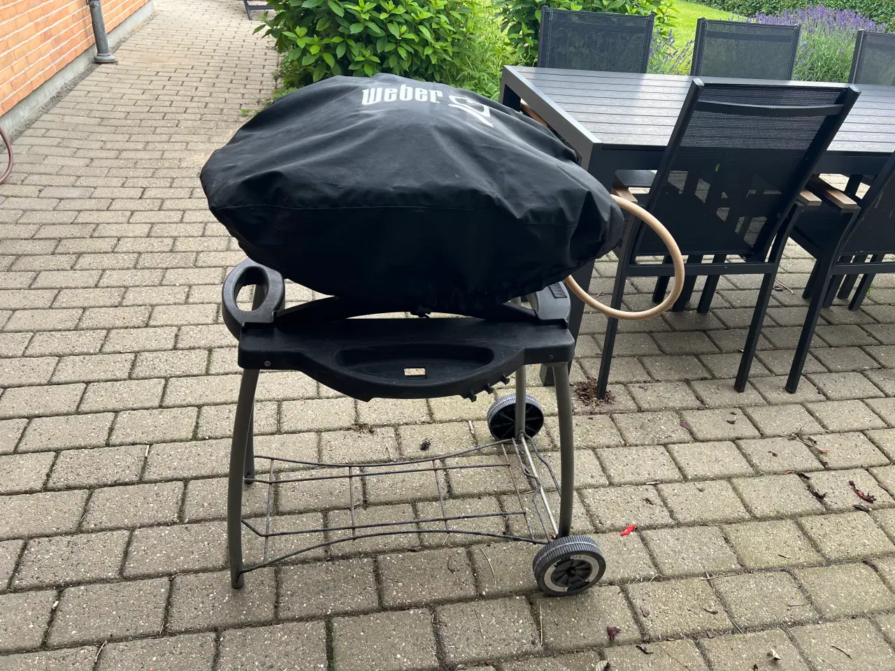 Billede 3 - Weber Q100