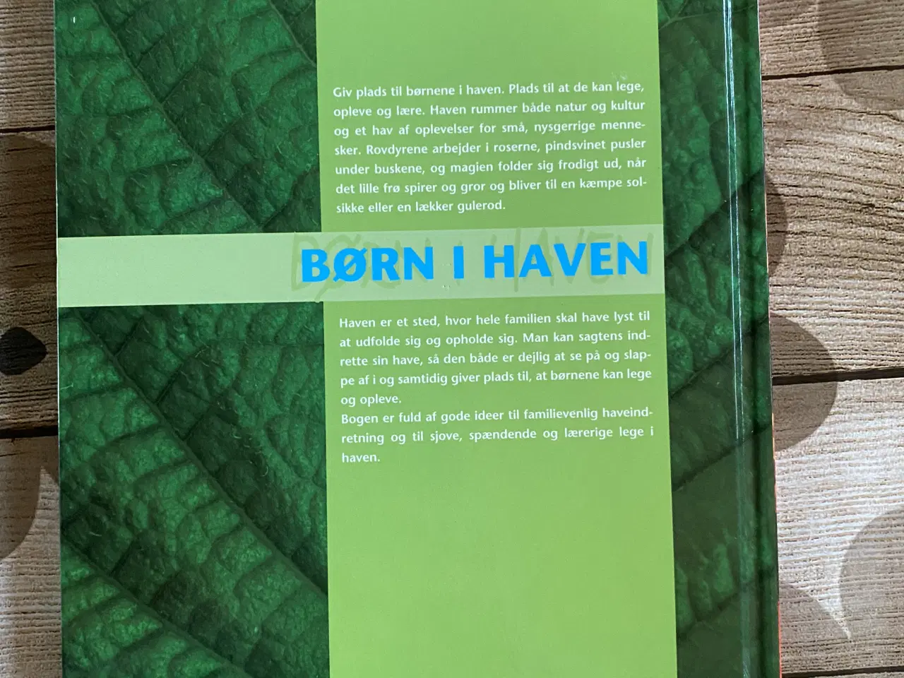 Billede 2 - Børn i haven