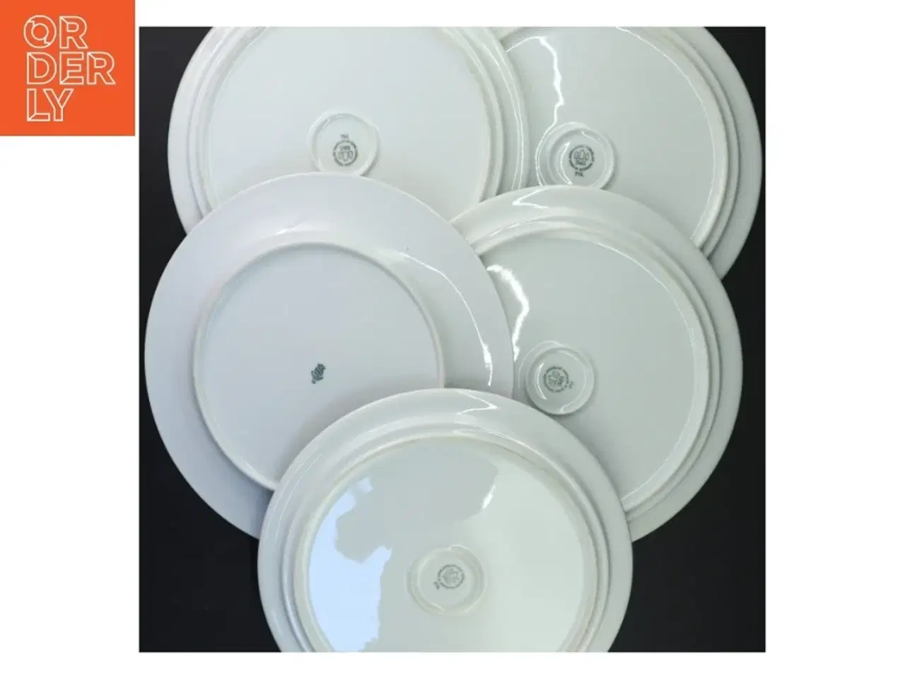 Billede 3 - 4 Royal Copenhagen hvidpot tallerkener  (str. Ø 25 cm)
