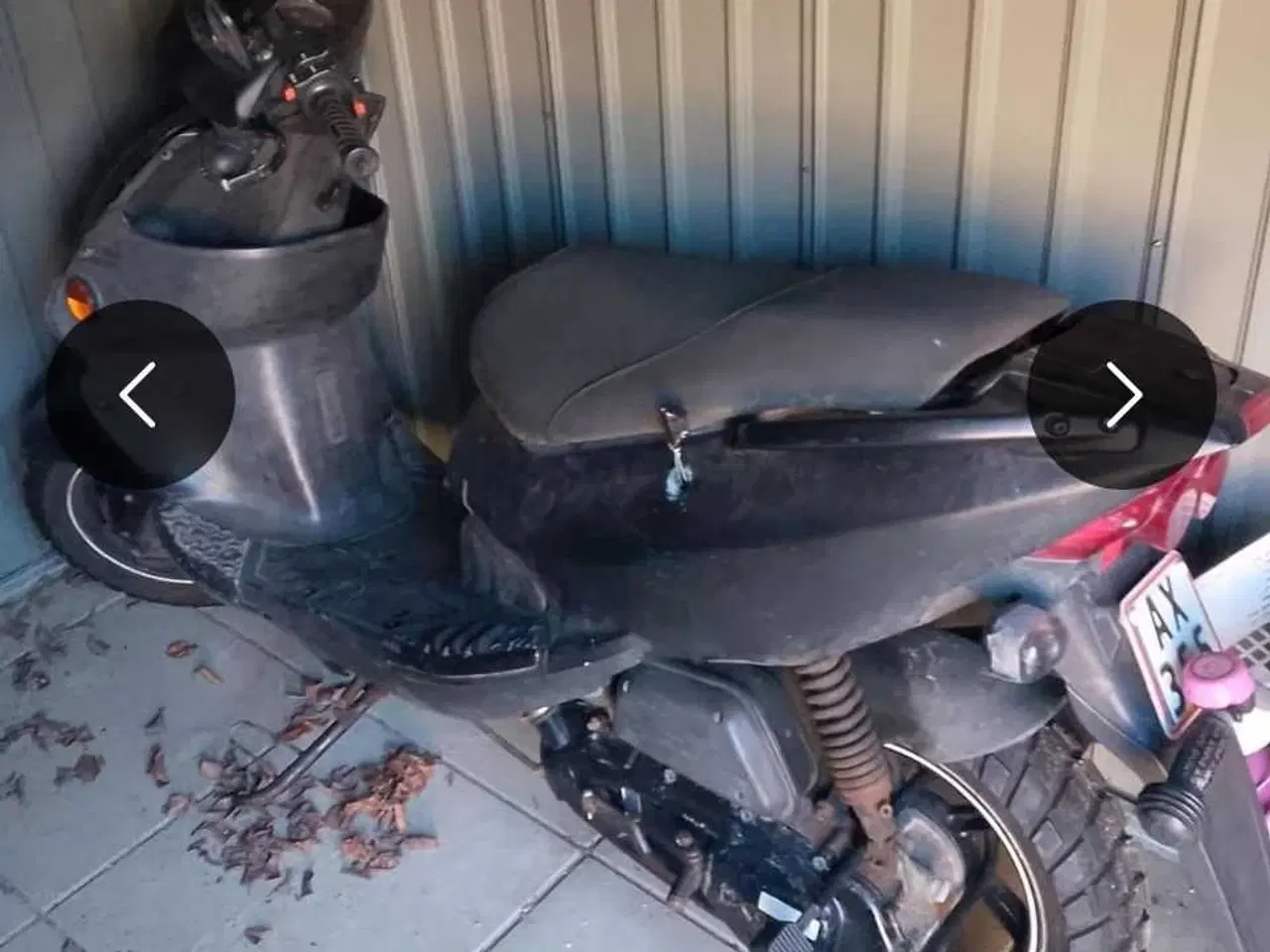 Billede 3 - Pgo 45 T-rex 