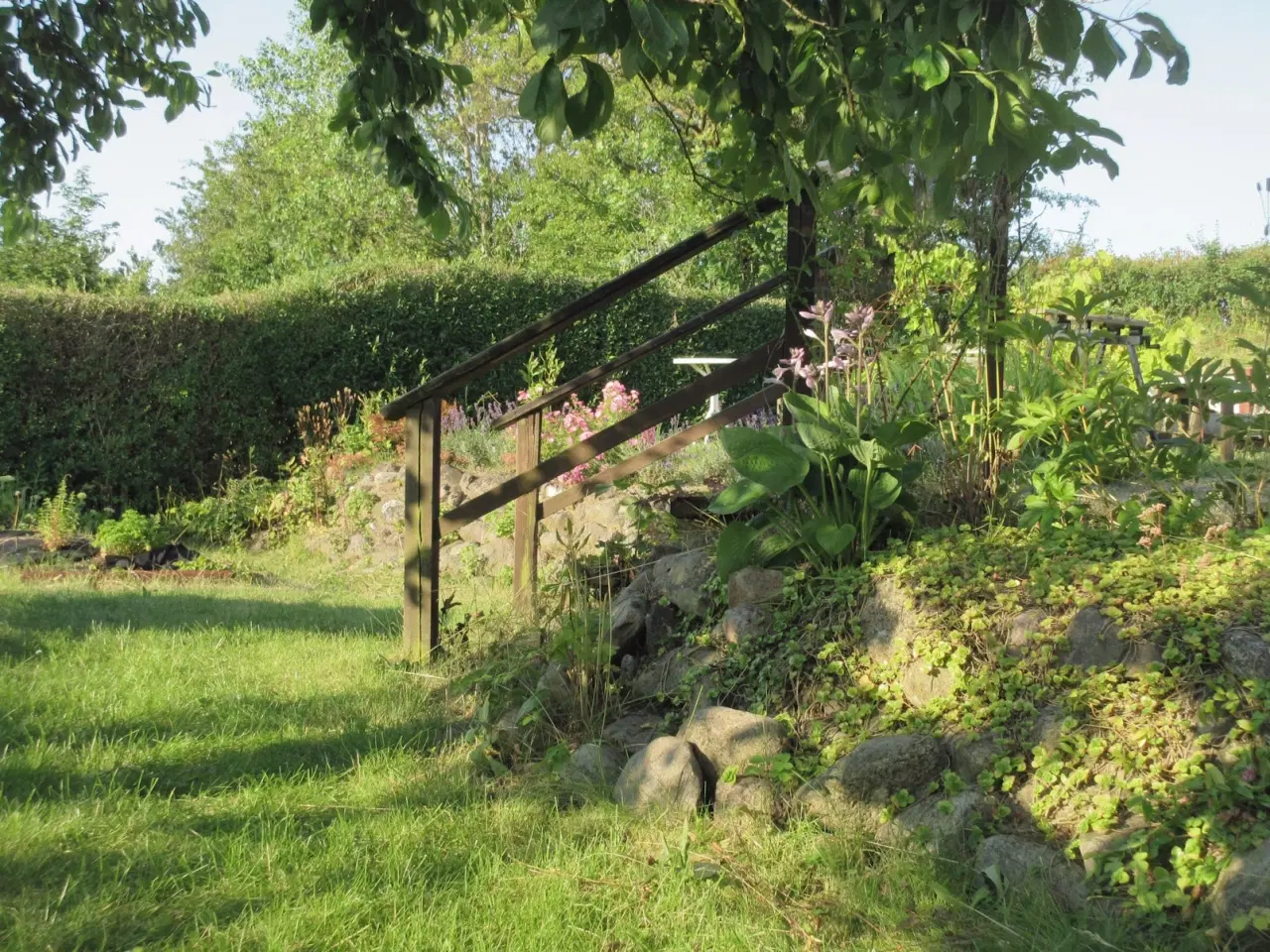 Billede 11 - Kolonihave Holbæk 