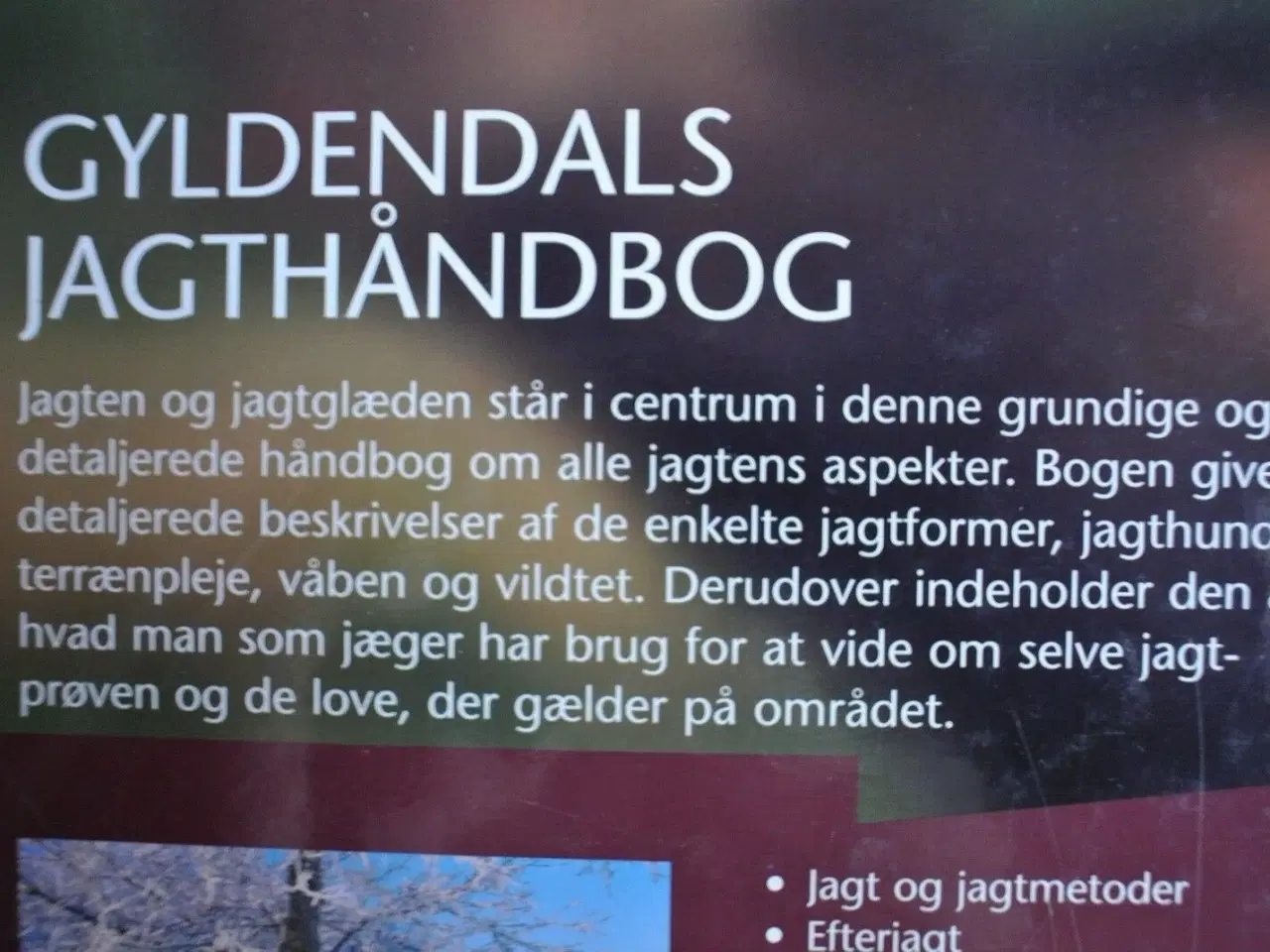 Billede 2 - gyldendals jagthåndbog, red. af henning kørvel