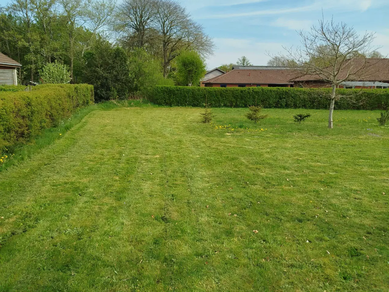 Billede 5 - Byggegrund til salg - 1350m grund halvårgrund