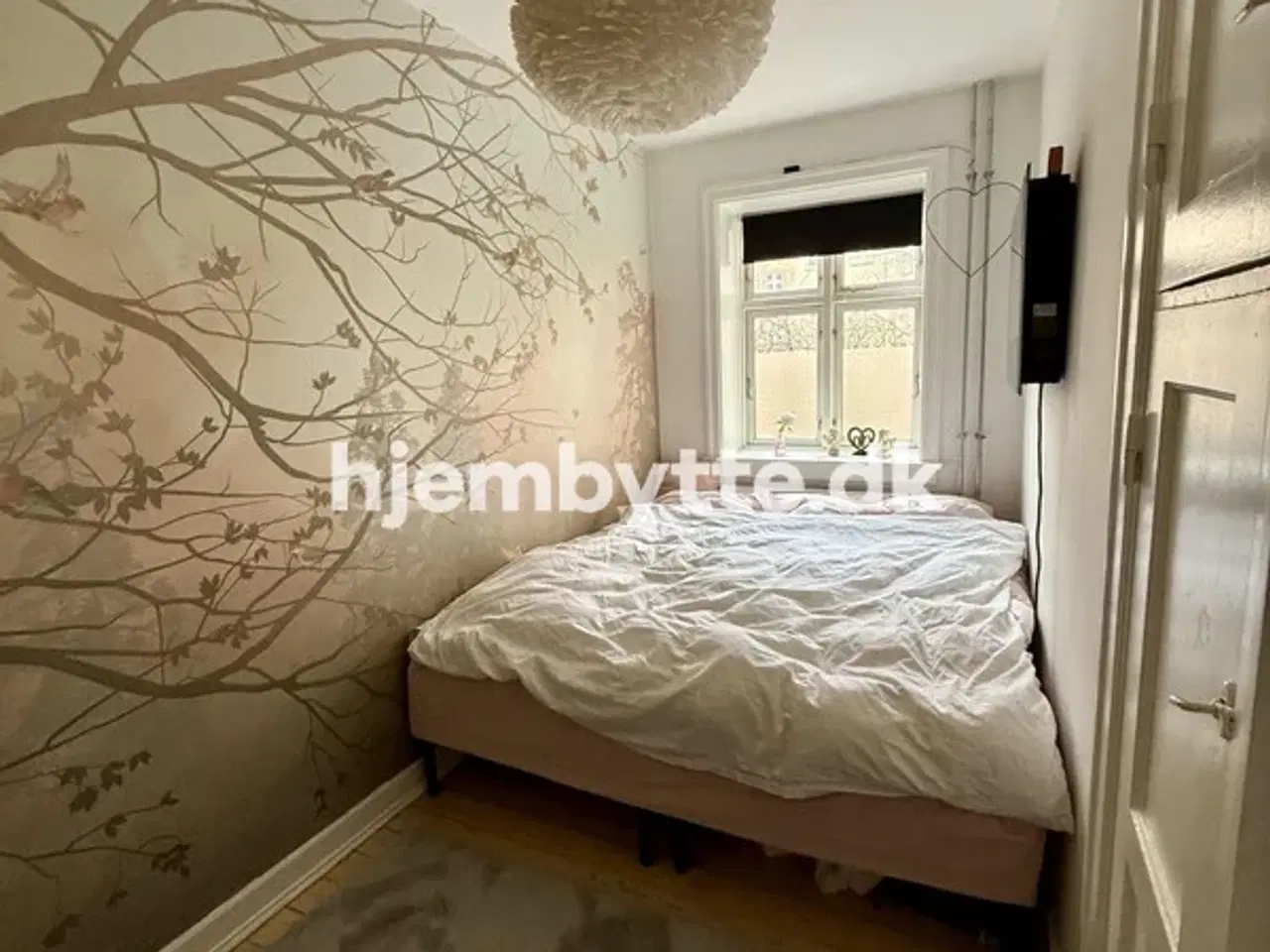 Billede 3 - Hjembytte - Scandiagade