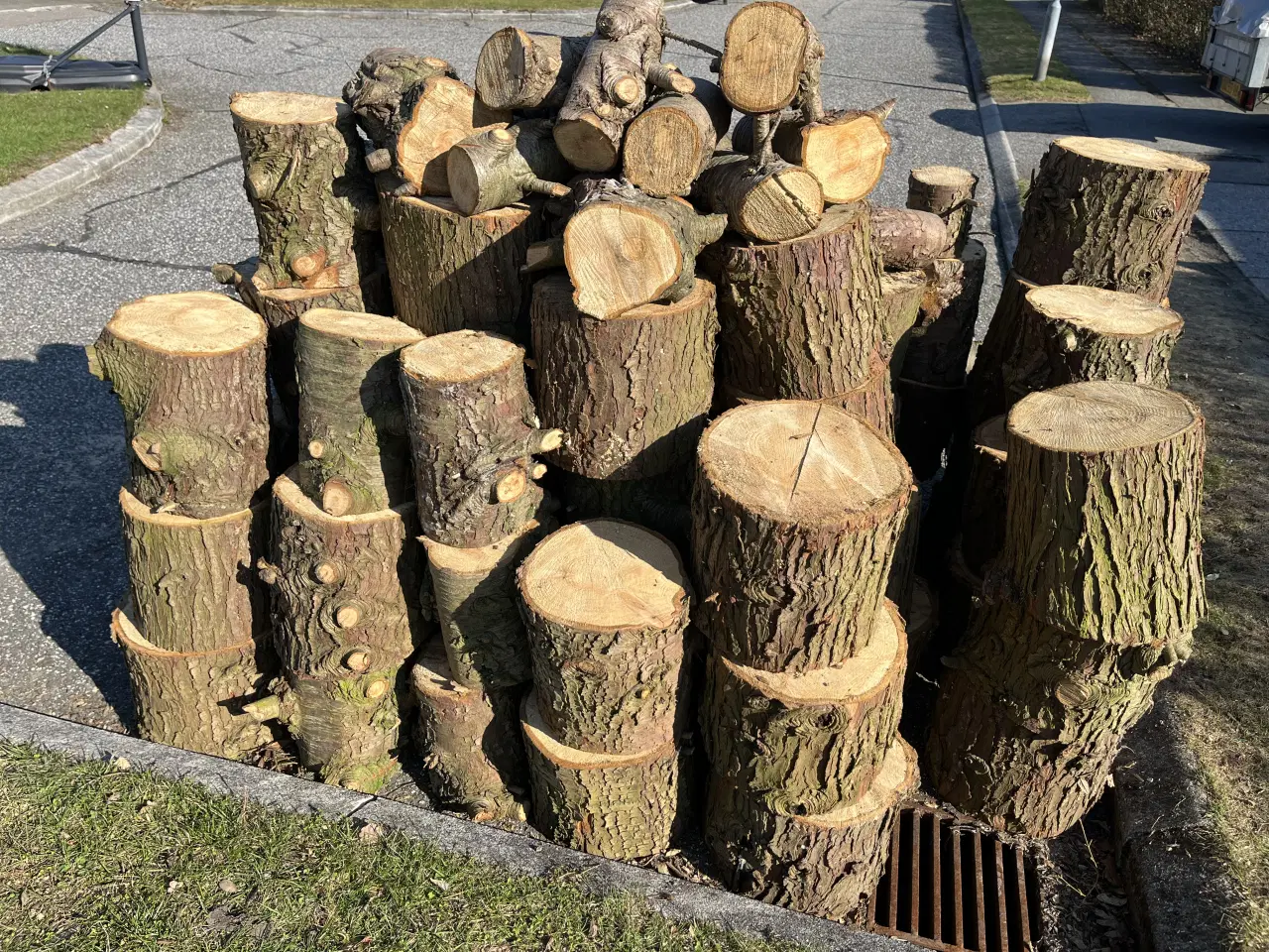 Billede 1 - Brænde fra cypres