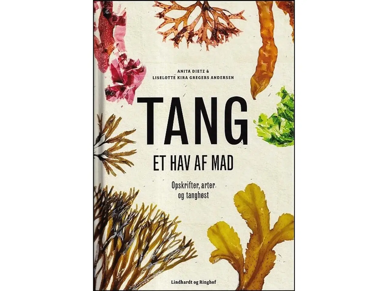 Billede 1 - Tang - et hav af mad