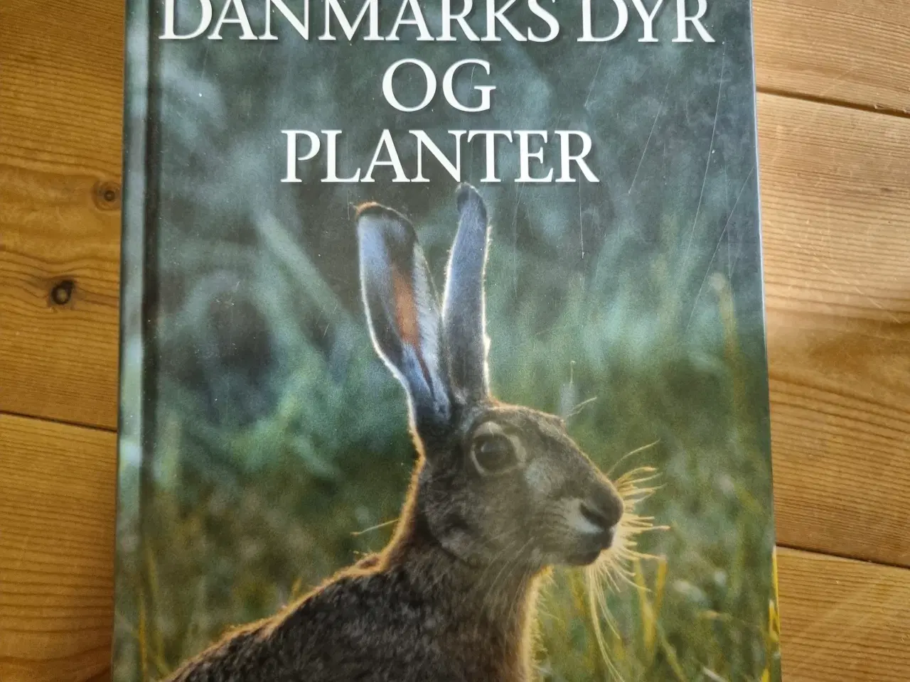 Billede 1 - Danmarks dyr og planter