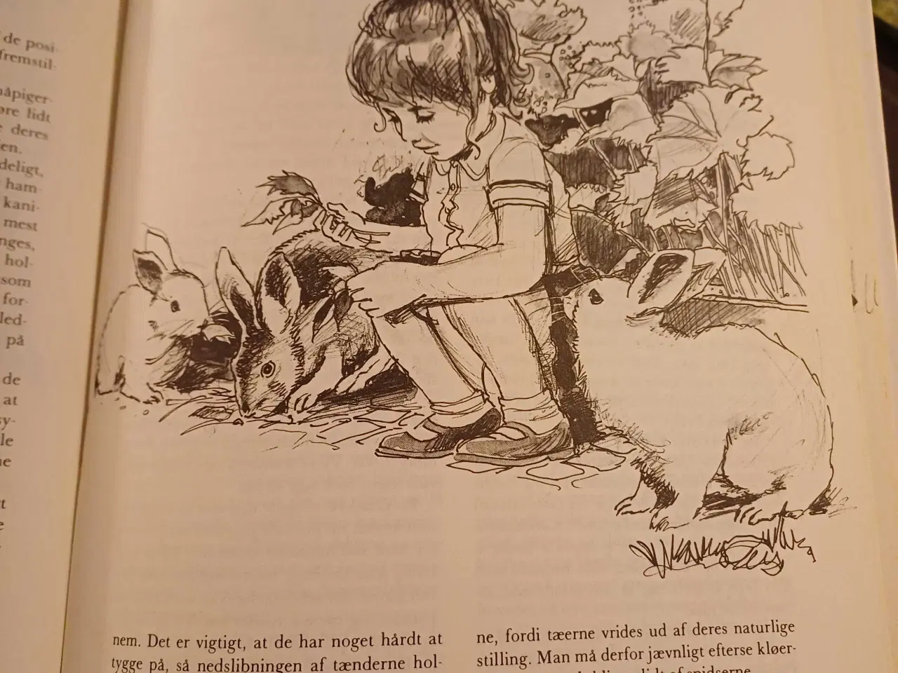 Billede 13 - 4 forskellige ældre børne bøger 