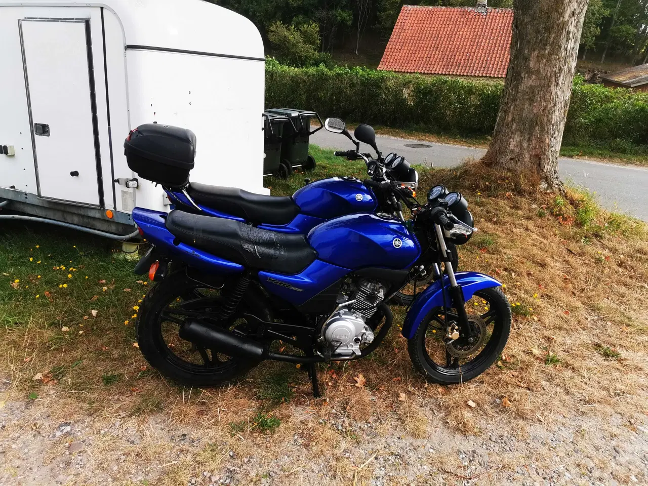 Billede 1 - 2 x Yamaha YBR 125 