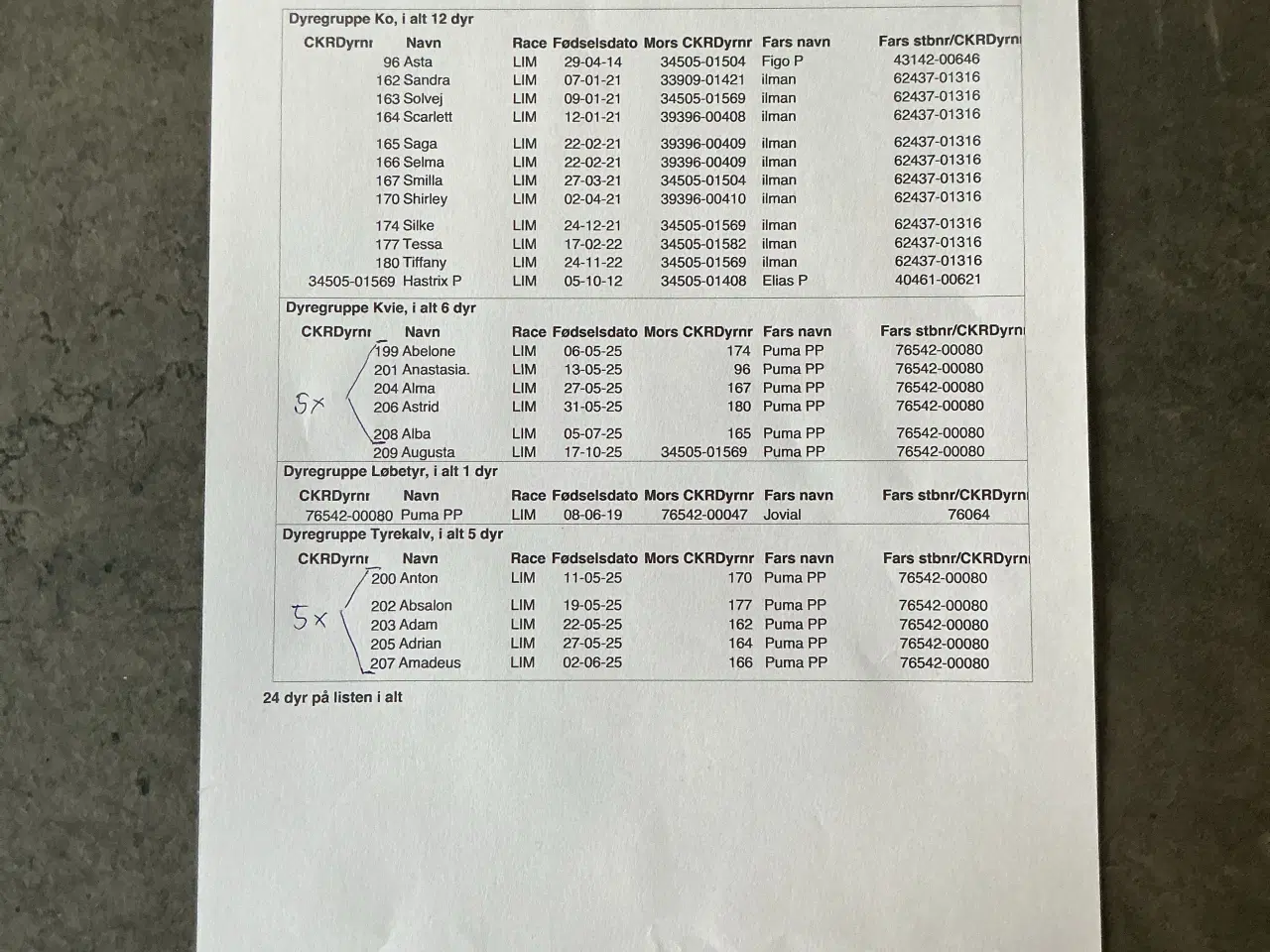 Billede 7 - 10 Limousine tyr- og kviekalve