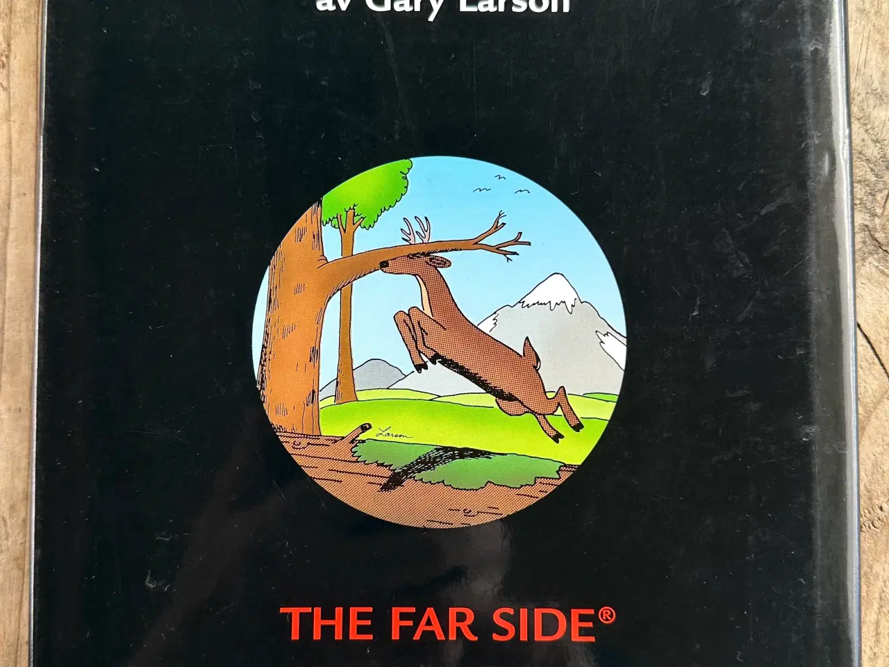 Billede 2 - På jakt efter den andra sidan – Gary Larson