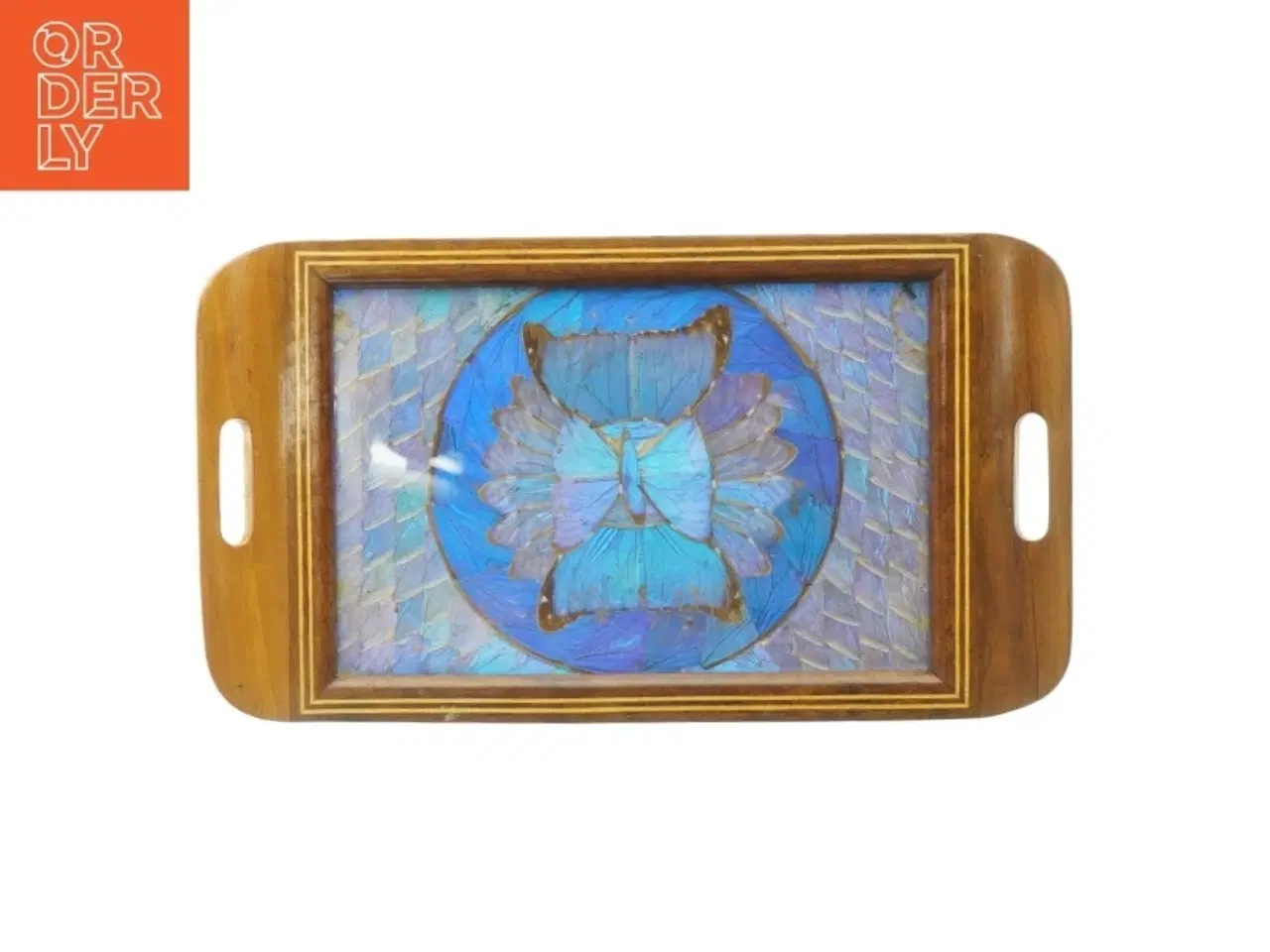 Billede 1 - Sommerfugle Vinge Bakke (str. 41,5 x. 23,5 cm)