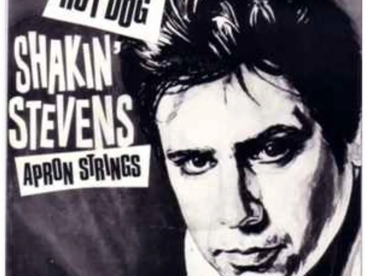 Billede 8 - Kalder alle shaky fans