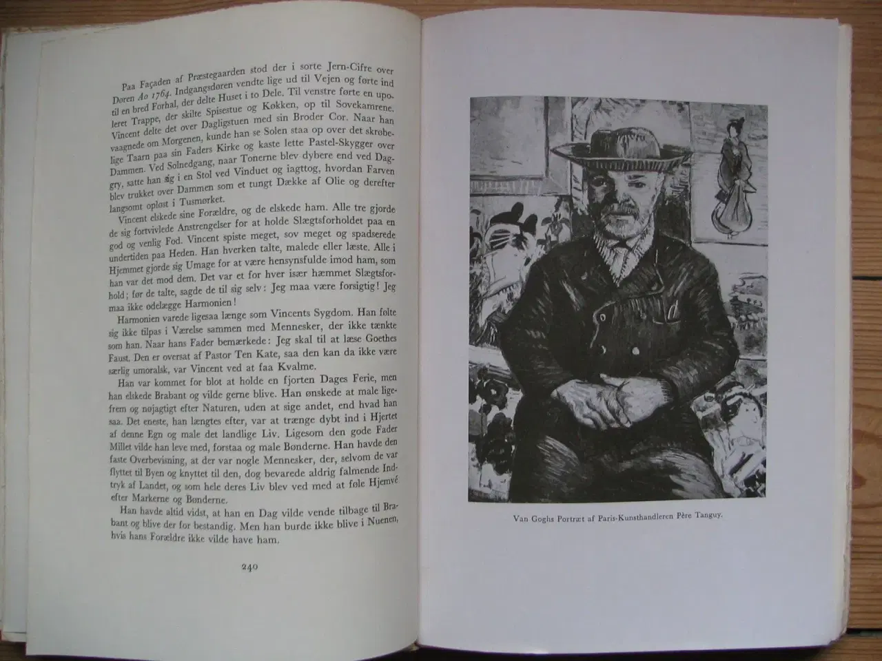 Billede 2 - Van Gogh (1853-1890) - En romanbiografi